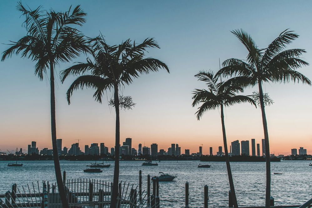 Miami Skyline, auf dem Wasser sind mehrere Boote, im Vordergrund sieht man Palmen